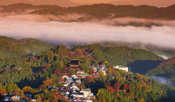 奈良県　朝の雲海と吉野山
