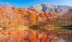 福井県　刈込池