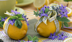 フラワーアレンジメント レモン