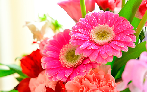 壁紙ダウンロード My Cloud 富士通パソコン