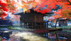 岩手県　中尊寺弁財天堂