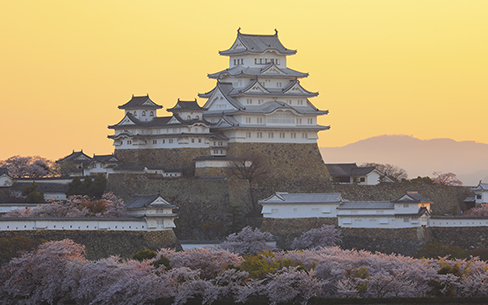 25 桜 壁紙 姫路城 最高の選択されたhdの壁紙画像