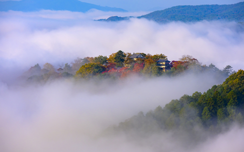 【岡山県】朝の備中松山城