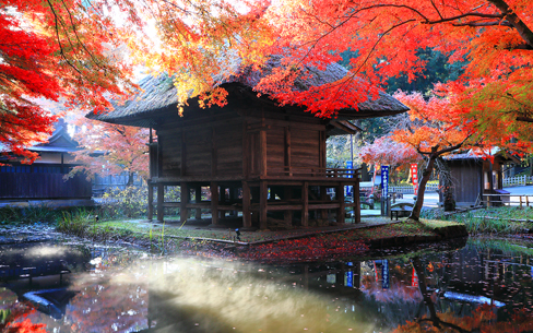 【岩手県】中尊寺弁財天堂
