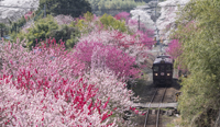 群馬県　わたらせ渓谷鉄道