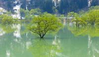 山形県　飯豊町白川湖