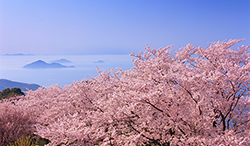 香川県　紫雲出山