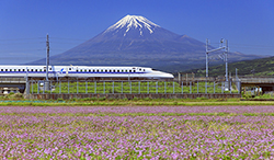 静岡県　レンゲ畑と東海道新幹線と富士山
