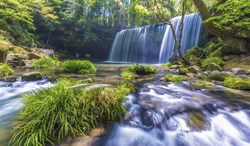 熊本県　新緑の鍋ヶ滝