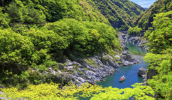 徳島県　新緑の大歩危峡と観光遊覧船　吉野川