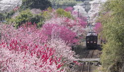 群馬県　わたらせ渓谷鉄道