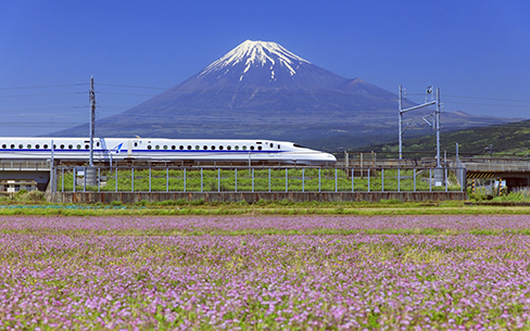 静岡県　レンゲ畑と東海道新幹線と富士山