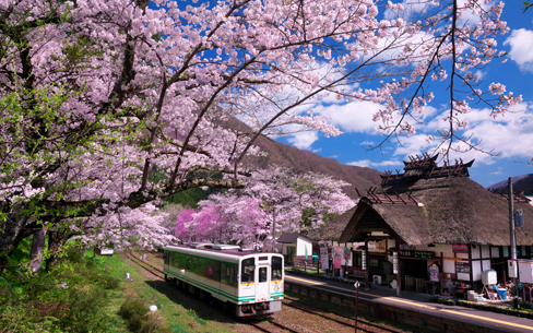 福島県　桜の湯野上温泉駅