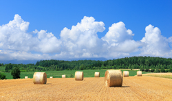 北海道 入道雲と麦わらロール