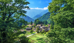 富山県 新緑の相倉合掌集落