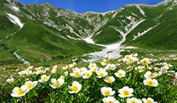 富山県 立山・真砂岳