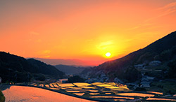 奈良県 細川の棚田の夕日