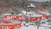 青森県 高山稲荷神社の千本鳥居