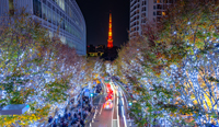 東京都　けやき坂イルミネーションと東京タワー