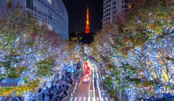 東京都　けやき坂イルミネーションと東京タワー