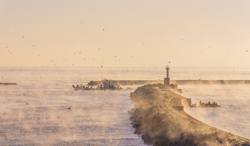 富山県　比美乃江公園展望台から氷見漁港