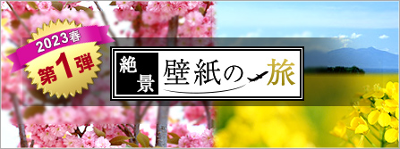 絶景壁紙特集