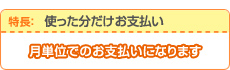 使った分だけお支払い。月単位でのお支払いになります。