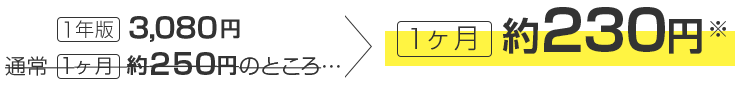 1ヶ月 約230円(※)、1年版 3,080円