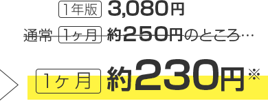 1ヶ月 約230円(※)、1年版 3,080円