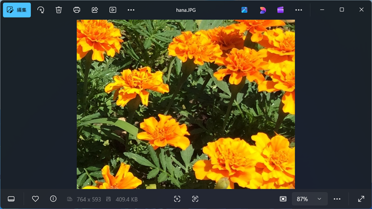 フォトアプリの画面