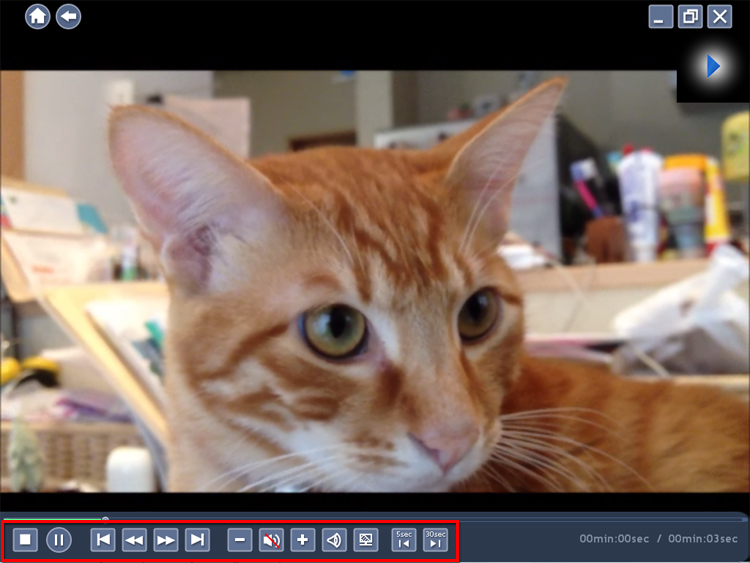 選択した動画の再生が始まり、マウスポインターを動かすと、下に操作ボタンが表示されている画面イメージ