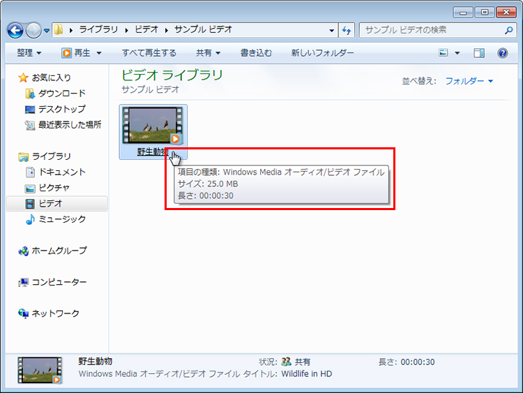 動画のファイルサイズを表示している画面イメージ