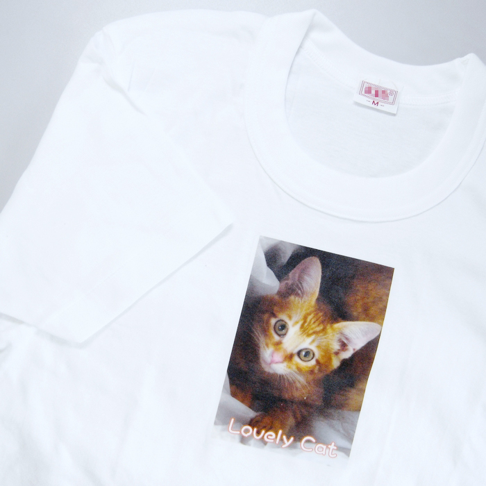 オリジナルTシャツの完成イメージ画像
