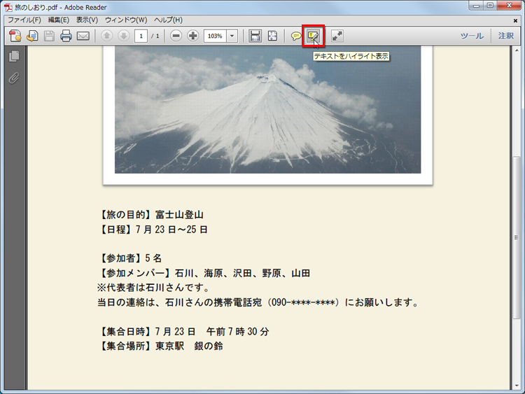 Adobe Reader XでPDF形式の文書を開いたら、［テキストをハイライト表示］ボタンをクリックしている画面イメージ