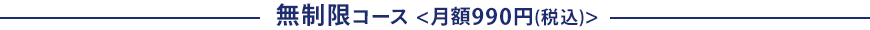 無制限コース<月額990円(税込)>